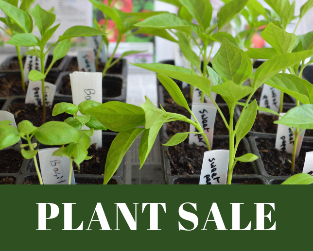 Week-long Plant Sale