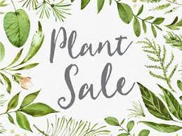 Plant sale as a fundraiser for the library