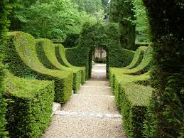 Garden Club visit