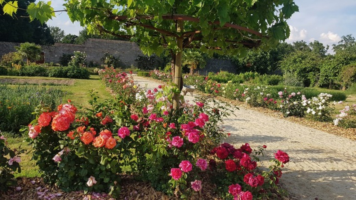 Garden Club